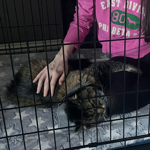 NBD Phineas Rhinestone Mini Dress Black - Picture 8 of 13